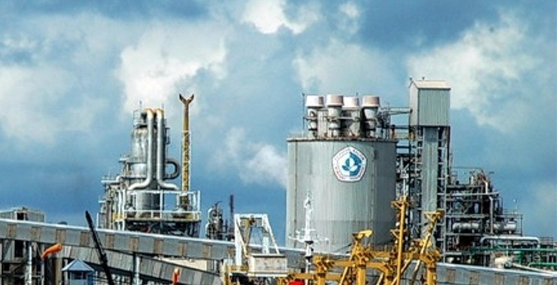 Hari Pangan Sedunia,  PT Pupuk Kaltim Siapkan 286.771 Ton Pupuk Subsidi