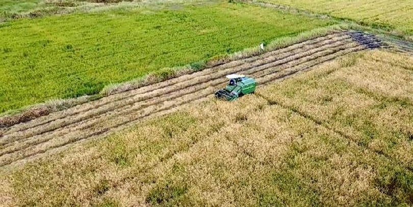 Prabowo Perintahkan Mentan Percepat Program Cetak Sawah 3 Juta Hektare
