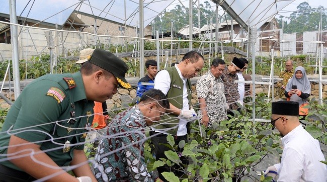 Kopontren Al-Ittifaq Bandung Jadi Role Model Pemenuhan Pasokan Bahan Baku Program MBG