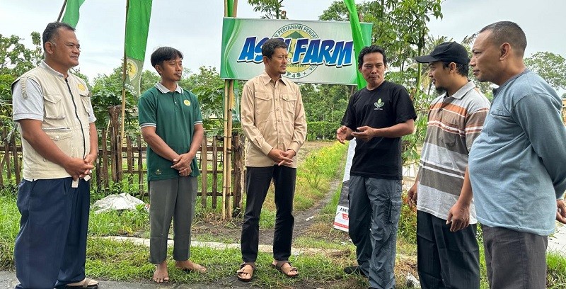 Kunjungi Petani, Amin Ak Dorong Penggunaan Pupuk Cair untuk Tingkatkan Produktivitas Pertanian