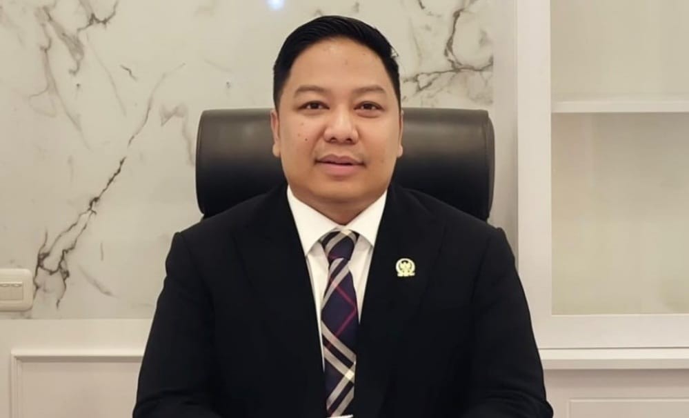 Soal Kenaikan PPN 12%, Gerindra Nilai PDIP Lupa Ingatan