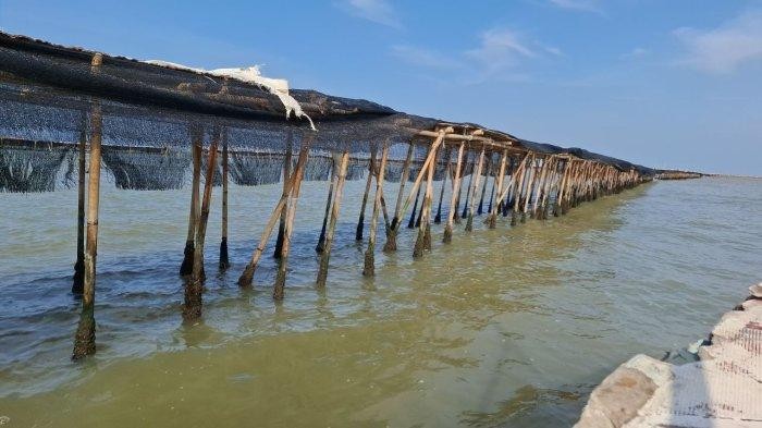 Segera Bongkar Pagar Laut, Pemerintah Jangan Lagi Menunda