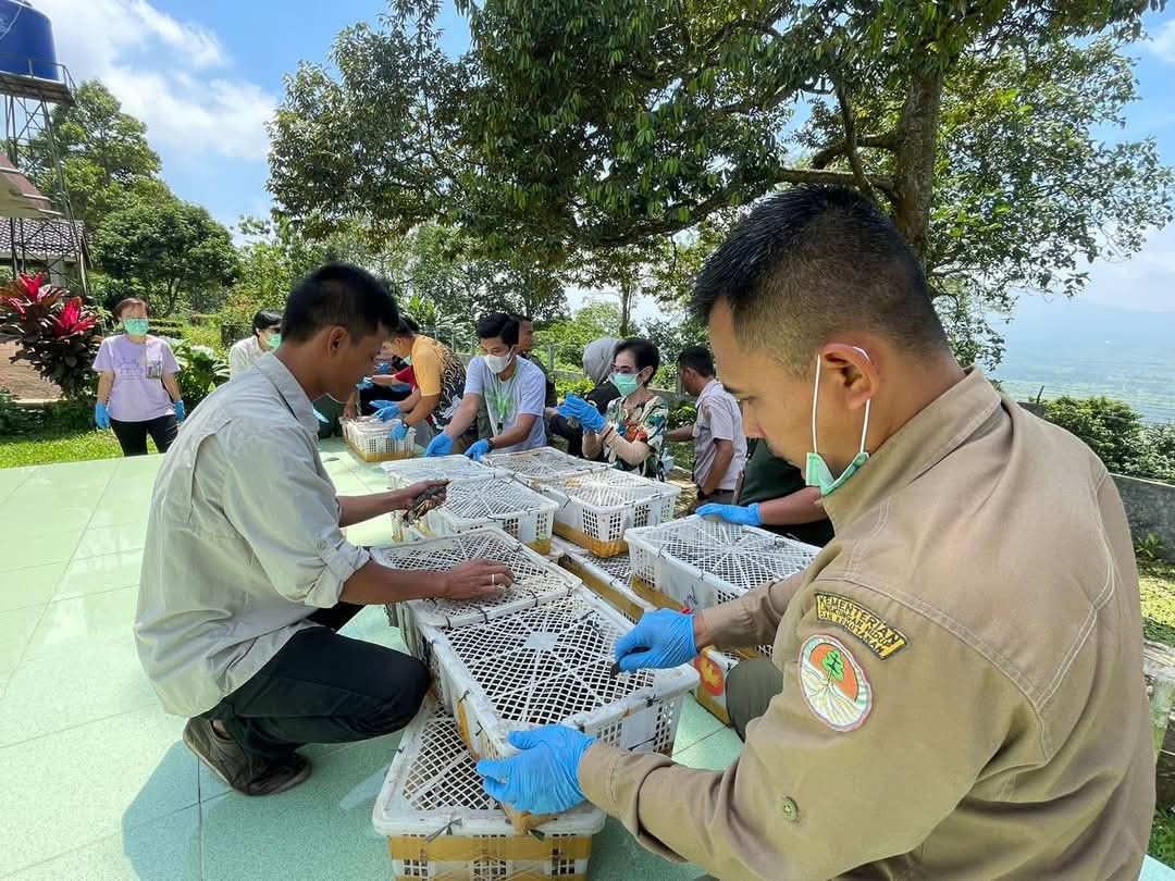 Karantina Banten Berhasil Gagalkan Penyelundupan 700 Ekor Burung