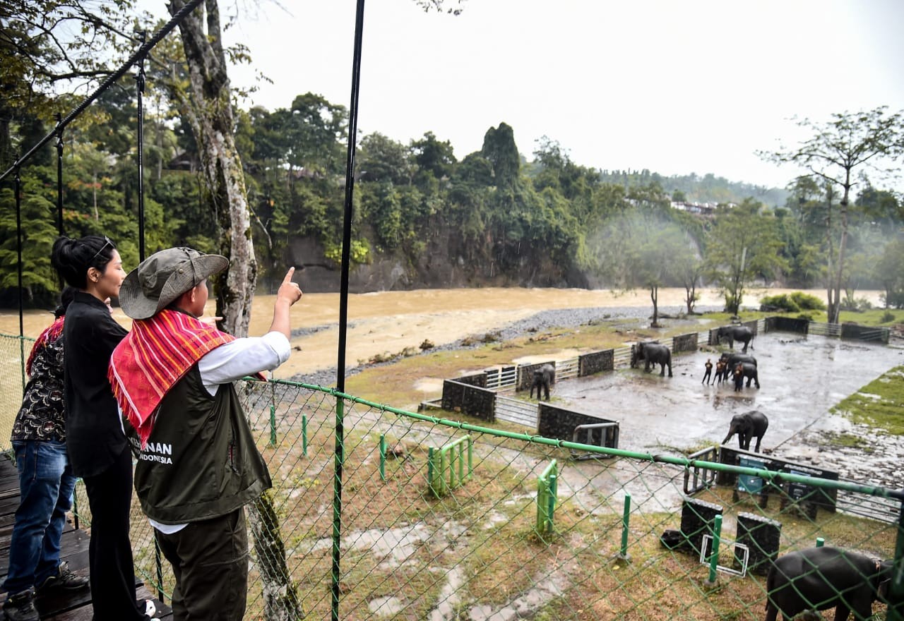 Menhut Kunjungi Tangkahan Sumut, Transformasi Pelestarian Alam dari Menebang hingga Menanam