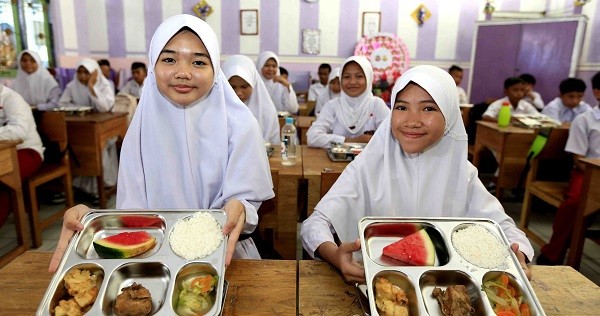 MGB Program Mulia Prabowo Dikritik, Ini Kata Legislator