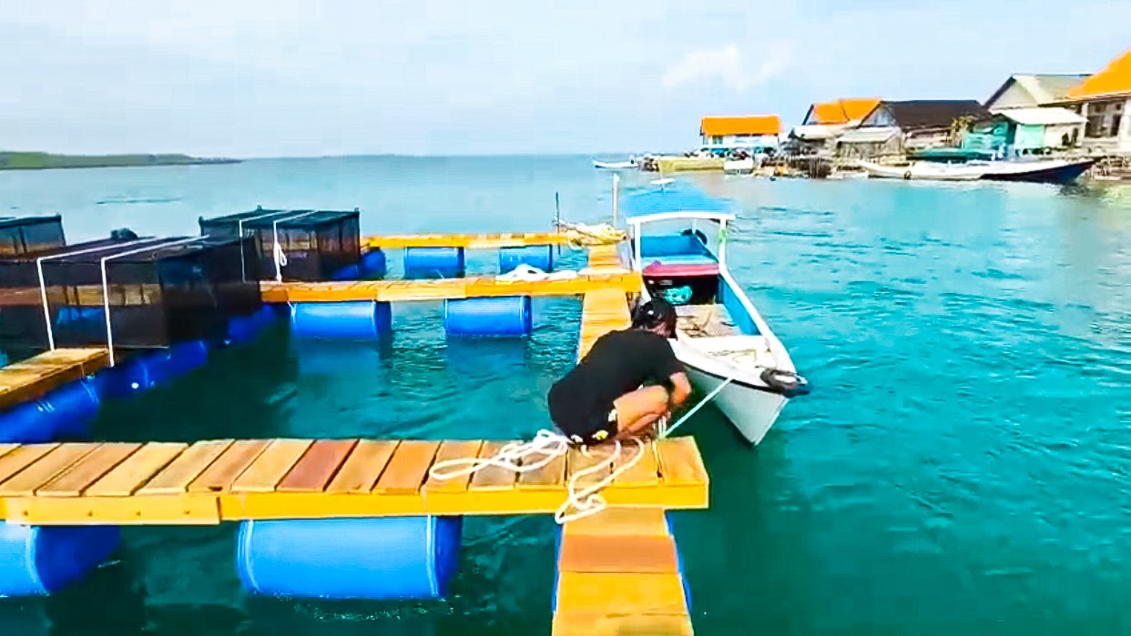 Budidaya 2 Miliar Ekor Lobster, BALAD Grup Mulai Pasang 80 Ribu Keramba di Sumenep