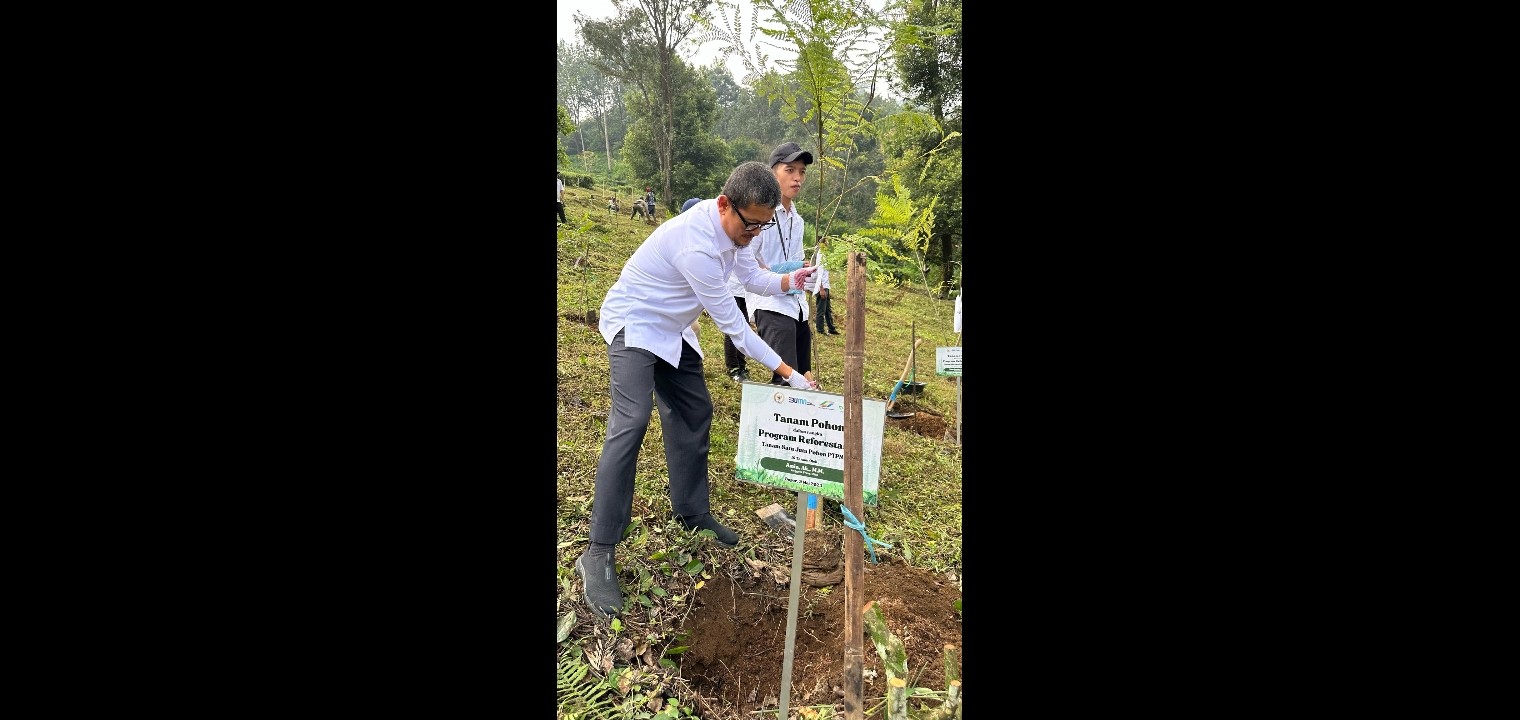 Gaungkan Gerakan Penghijauan di Kawasan Puncak Bogor, BAKN DPR RI Tanam Sejuta Pohon