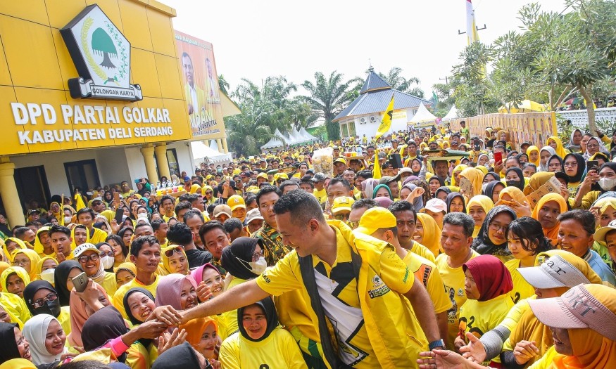 Pakar Nilai Sosok Ijeck Dongkrak Elektabilitas Partai Golkar di Sumut