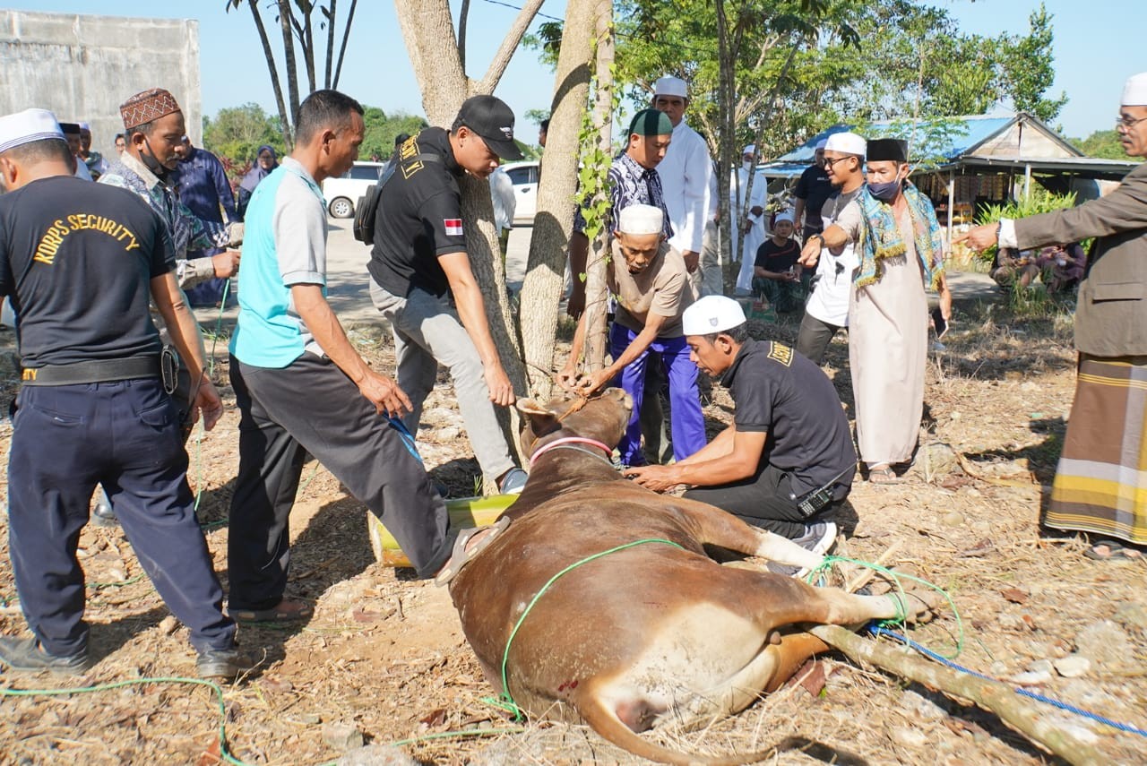 Gubernur DKI Imbau Pembuangan Limbah Hewan Kurban Jangan ke Sungai