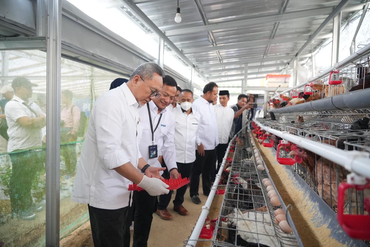 Menko Pangan Panen Brokoli hingga Ayam Petelur di Rumah Pangan PNM