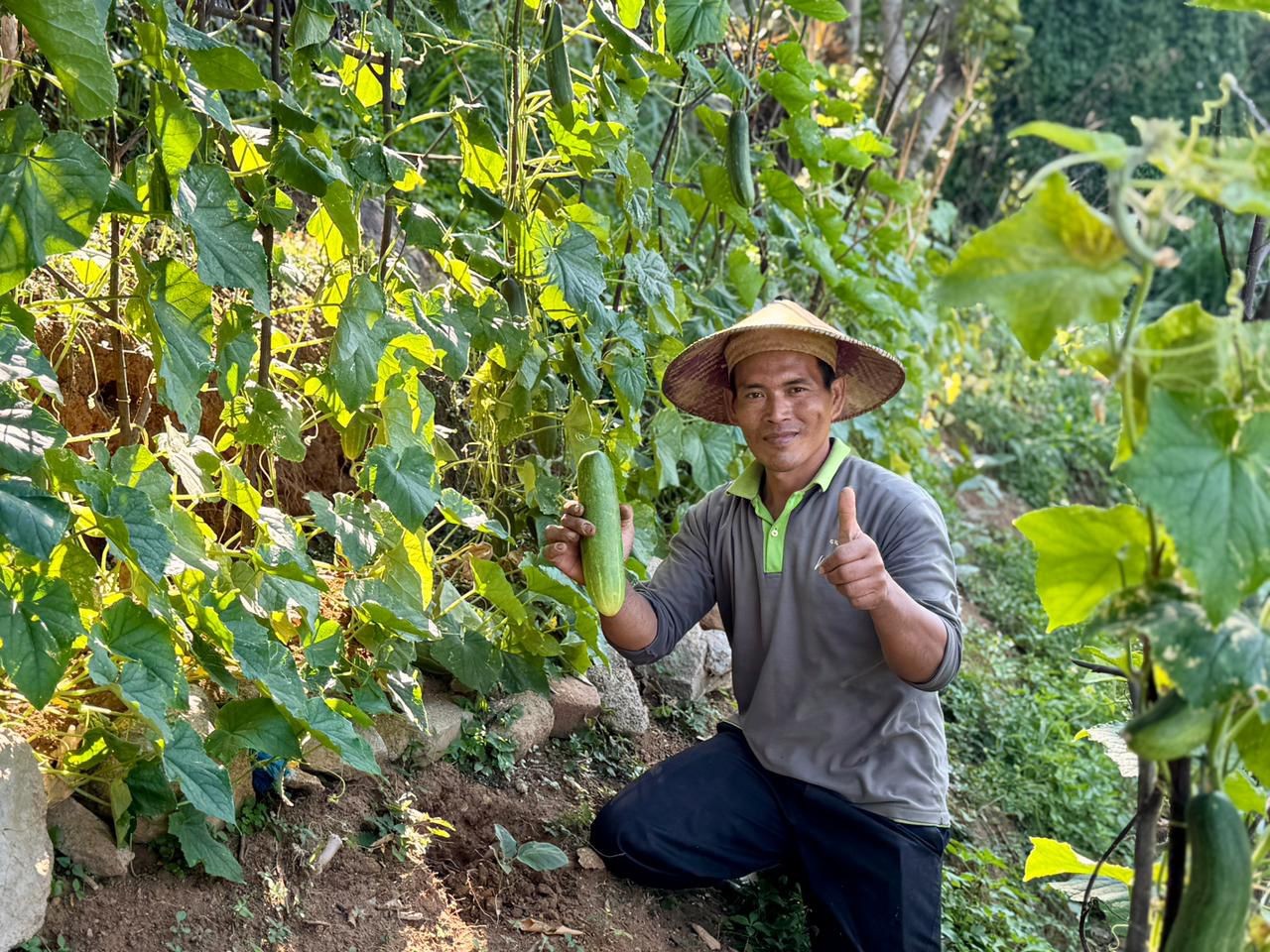 Grand Whiz Hotel Trawas Kembangkan Kebun Organik, Dorong Gaya Hidup Sehat dan Edukatif
