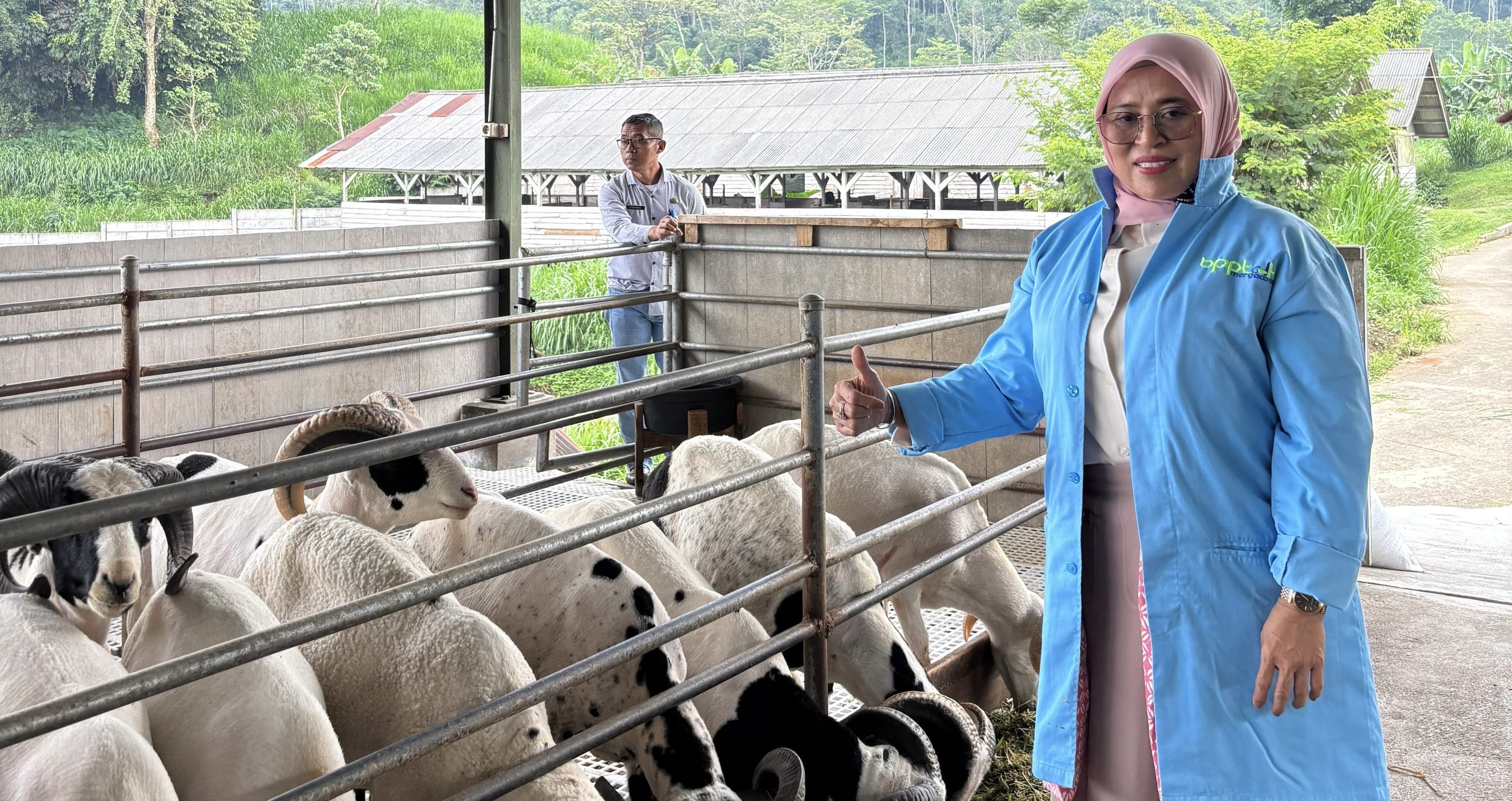 Siti Qomariyah Apresiasi Konsistensi Pembibitan Domba dan Kambing Margawati Garut