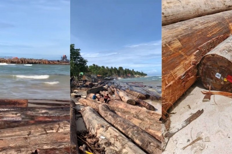 Kemenhut Pastikan Kayu Gelondongan di Lampung Bukan dari Aliran Banjir Sumatra