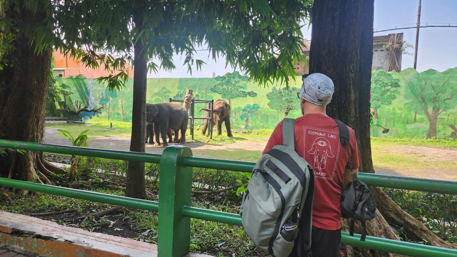 Ahli Gajah Asal Amerika, Steve Koyle Berkunjung Lagi ke Indonesia
