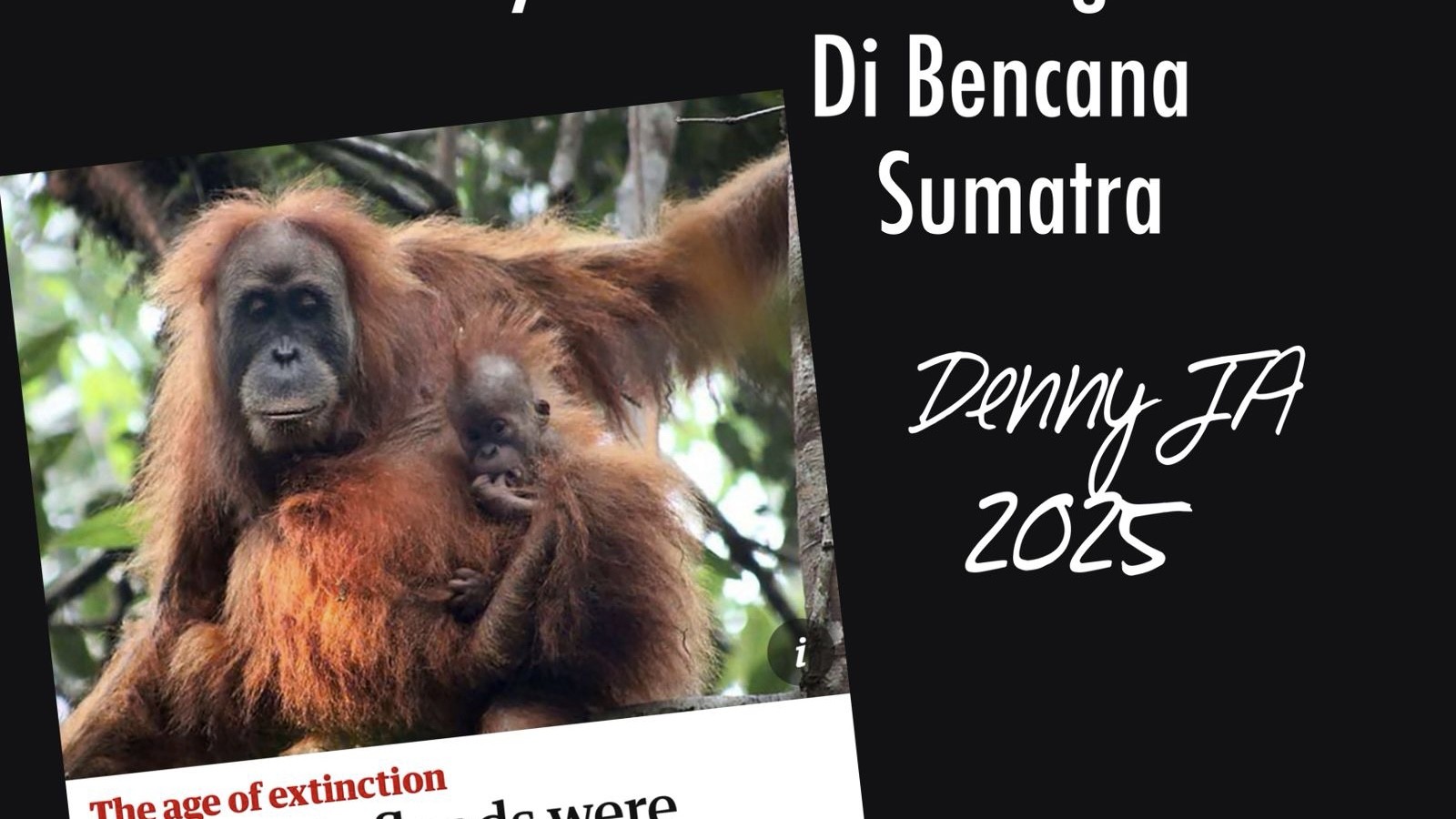 Dewi Menangisi Matinya Belasan Orang Utan di Bencana Sumatra