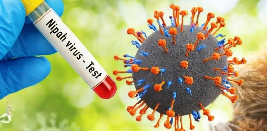 Bangladesh Konfirmasi Kematian Pertama Akibat Virus Nipah pada 2026