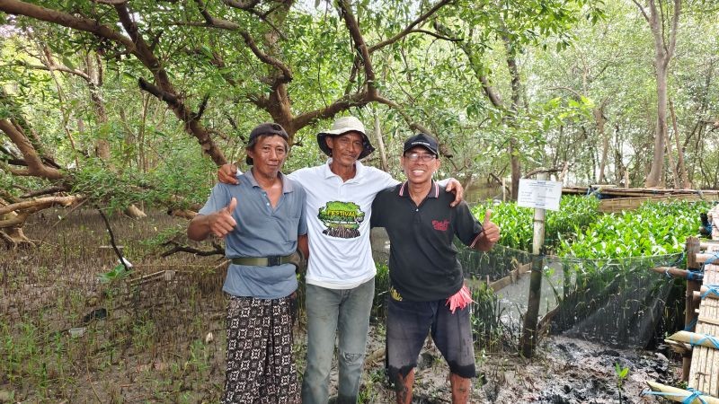 Hadapi Tantangan Abrasi, TPS Kembangkan Pembibitan Mangrove Berkelanjutan