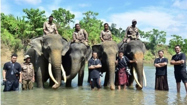 JGN & APECSI Desak Keterbukaan Informasi Penyebab Kematian Gajah Ratna di Rahmat Zoo and Park Sumut