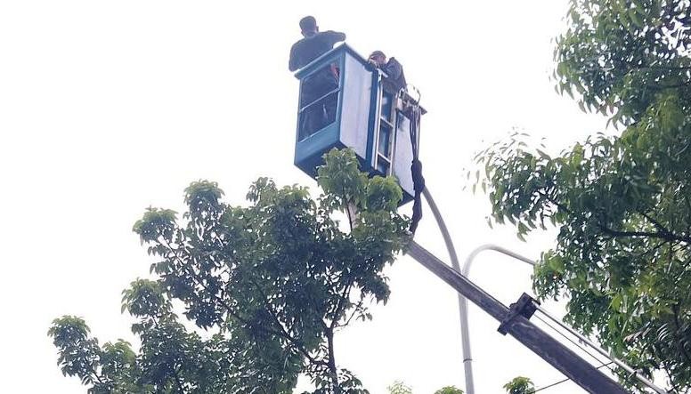 Tim Maung Gaspol Tata Jalan Keadilan Depok, Perbaiki PJU dan Pohon Rawan