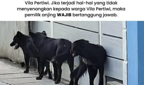 Gerombolan Anjing Resahkan Warga, Anak Dikejar hingga Nyebur Selokan