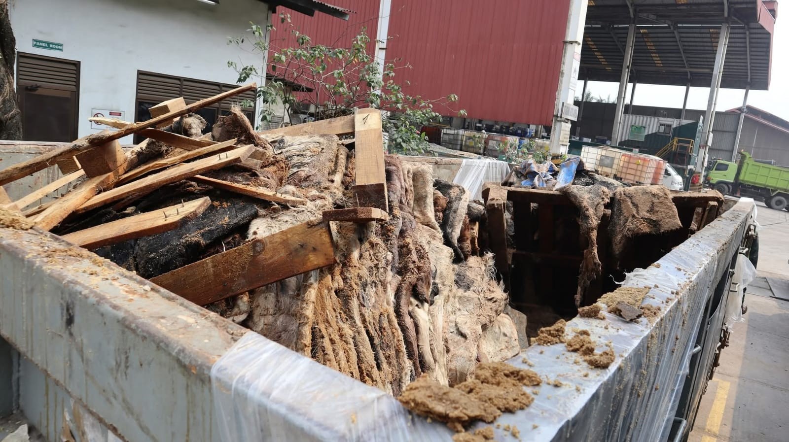 Barantin Musnahkan 129 Ton Kulit Impor Positif PMK dan LSD