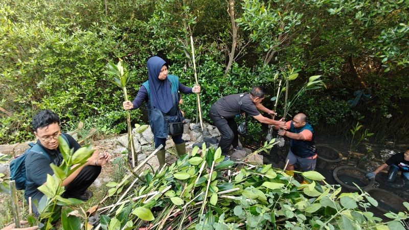 TPS Salurkan 3.000 Bibit Mangrove untuk Penghijauan Pesisir Sontoh Laut Surabaya