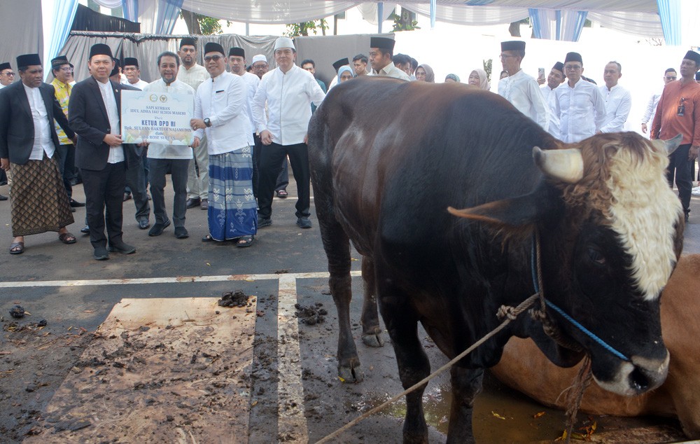 DPD RI Salurkan Daging Kurban kepada Masyarakat pada Momentum Idul Adha 1447 H