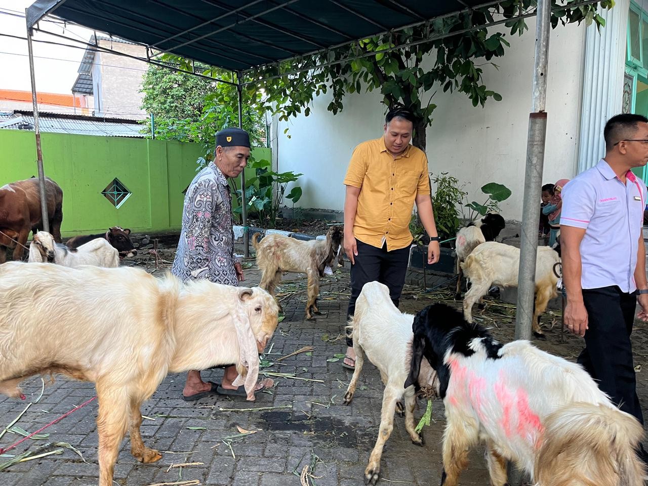 fave hotel Rungkut Surabaya Salurkan Hewan Kurban sebagai Wujud Kepedulian di Hari Raya Iduladha 1447 H