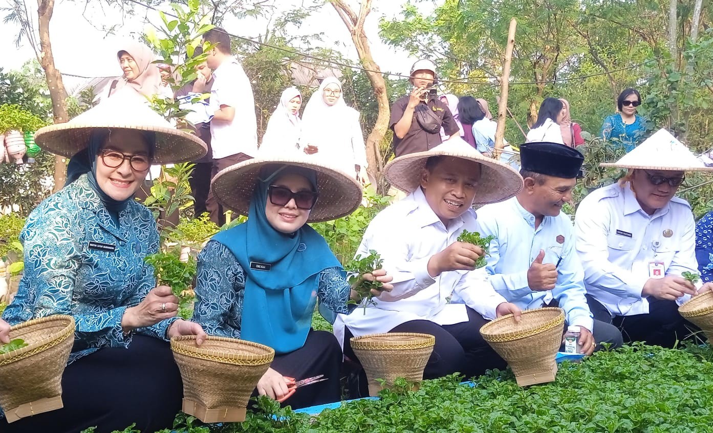 Sulap Fasos Jadi Kebun Produktif, Walkot Supian Suri Acungi Jempol Warga Pengasinan