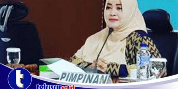 DPD RI Desak BPJS Kesehatan Segera Bayar Klaim JKN