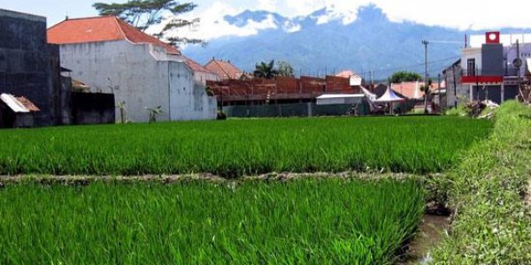 Waduh! Lahan Pertanian Mau Habis
