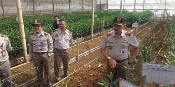 Terdeteksi Virus Berbahaya, Kementan Musnahkan Ribuan Bibit Bunga Lili Asal Belanda