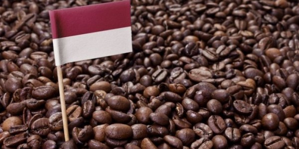 Koperasi Mitra Malabar Sukses Tembus Pasar Kopi Eropa