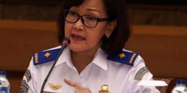 Harga Tiket Pesawat Melangit, Kemenhub Minta Maskapai Tegur Agen Penjual