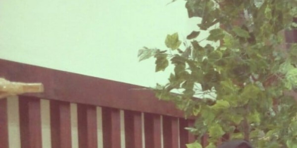 Guru Dikembangkan Harus Secara Utuh, Ada 4 Kompetensi Utama yang Harus Dituntaskan