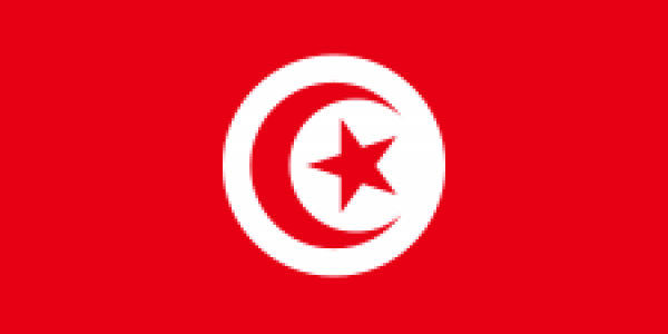 Lalai Menjalankan Tugas, Mendagri Tunisia Dicopot