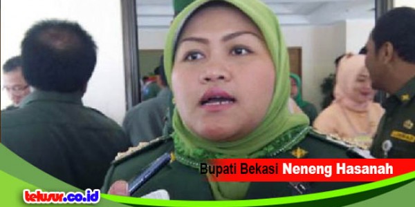 Bupati Neneng Kembali Beri Peluang Investor Asing Kembangkan Bekasi : Kenapa Sih Demen Banget..?