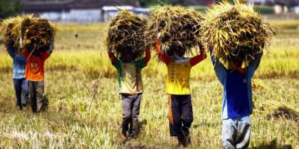 NTP 2018 Turun Dibanding Tahun 2017