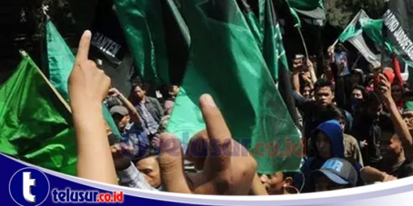 Lagi, HMI Gelar Demo Kecam Rencana Pemerintah Impor Beras