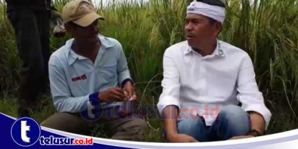 Luar Biasa… Dedi Ingin Buruh Tani di Jabar Diasuransikan