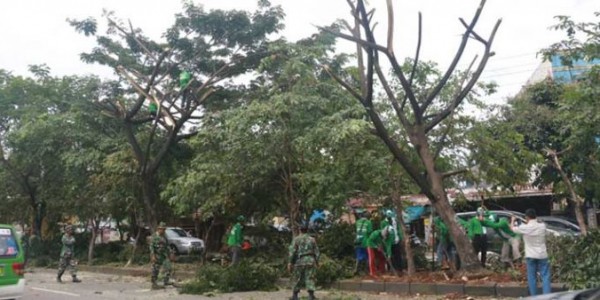 Pemprov DKI Relokasi 110 Pohon