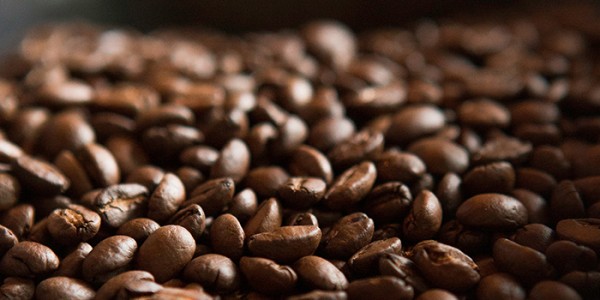 Kopi Putri Malu Diharap Go Internasional