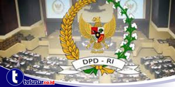 Senator Dorong Pembukaan Penerbangan Perintis ke Daerah Pelosok