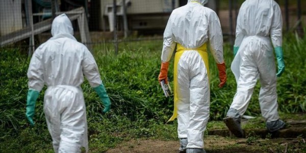 Wabah Ebola Muncul Lagi
