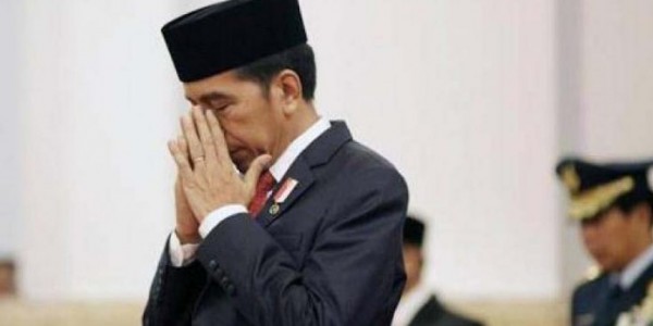 Divonis Melawan Hukum Kasus Karhutla, Jokowi: Masih Ada Upaya Kasasi