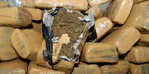 Stock Tahun Baru, Polisi Gagalkan Penyelundupan 92 Kg Ganja