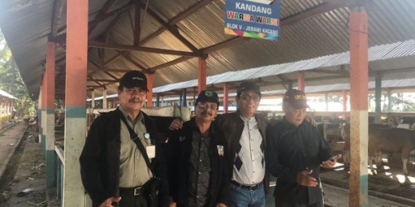 Usai Gempa Lombok, Kementan Imbau Tim Identifikasi Antisipasi Pencuri Sapi