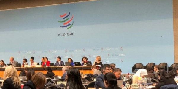 Di WTO, Delegasi Indonesia Perjuangkan Akses Ekspor Produk Pangan