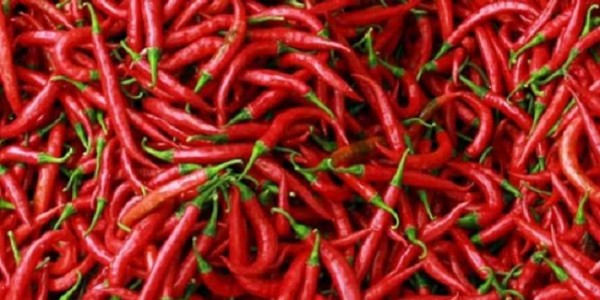 Harga Cabai Makin Pedas, Industri Makanan Terancam Gulung Tikar