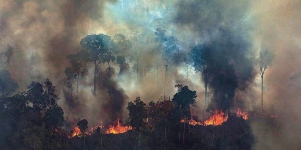 Sempat Menolak, Brazil Siap Terima Bantuan Kebakaran Hutan Amazon